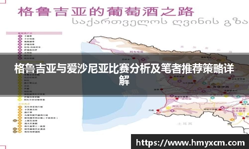 格鲁吉亚与爱沙尼亚比赛分析及笔者推荐策略详解